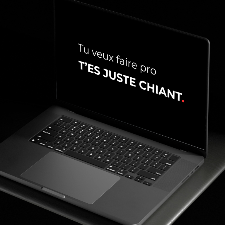 Ordinateur portable affichant le message "Tu veux faire pro, t'es juste chiant."